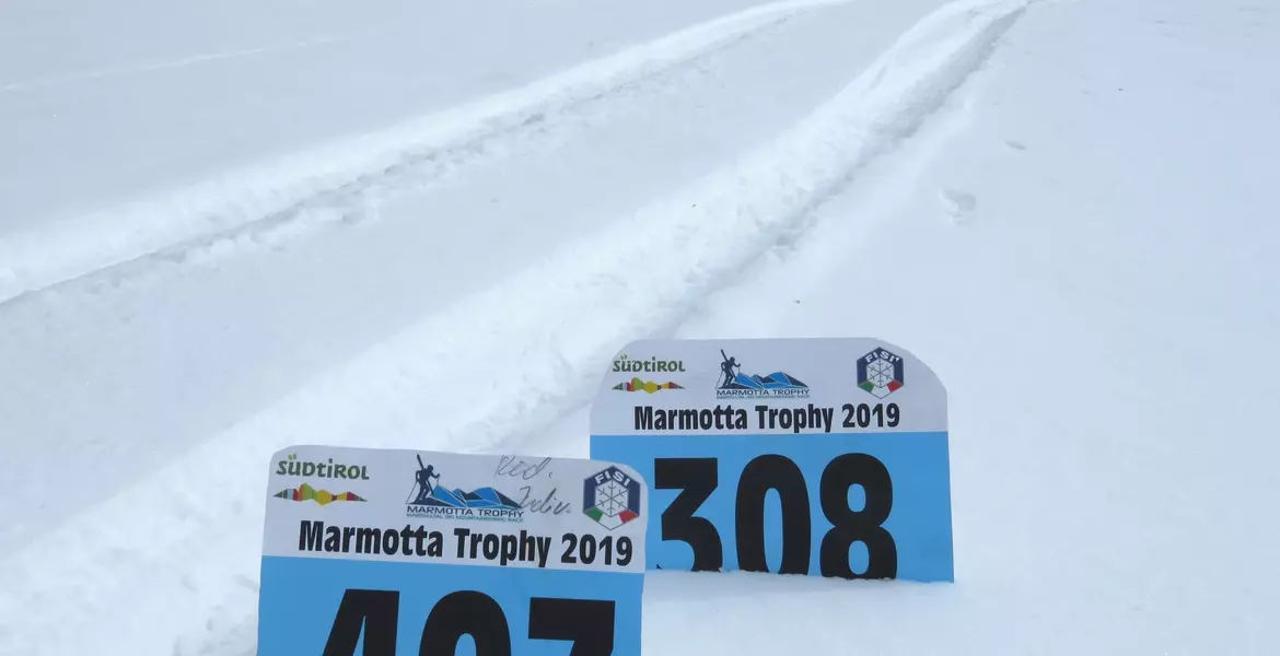 marmotta-trophy