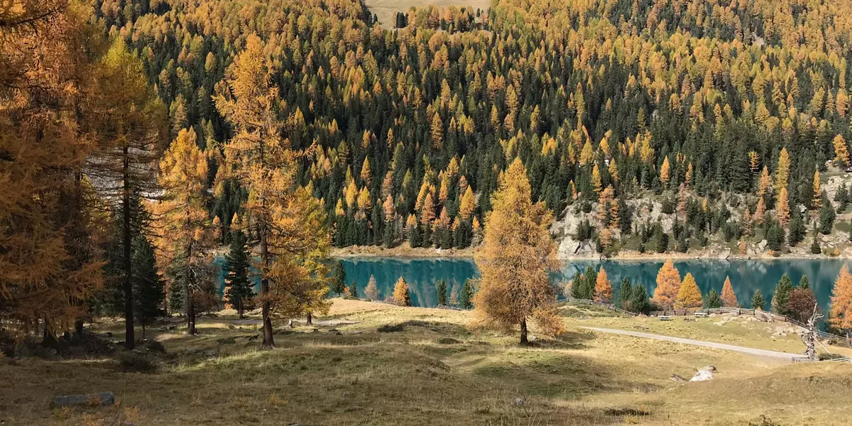 herbst-im-martelltal