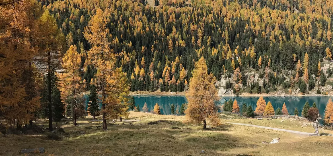 autunno-val-martello